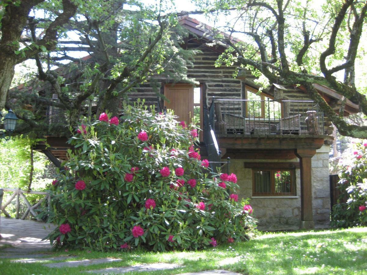 Hotel Rural Los Frutales เซร์เซดียา ภายนอก รูปภาพ